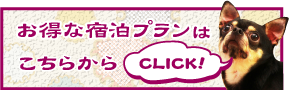 お得な宿泊プランはこちらから