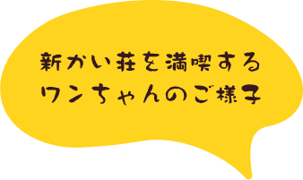 新かい荘を満喫するワンちゃんのご様子